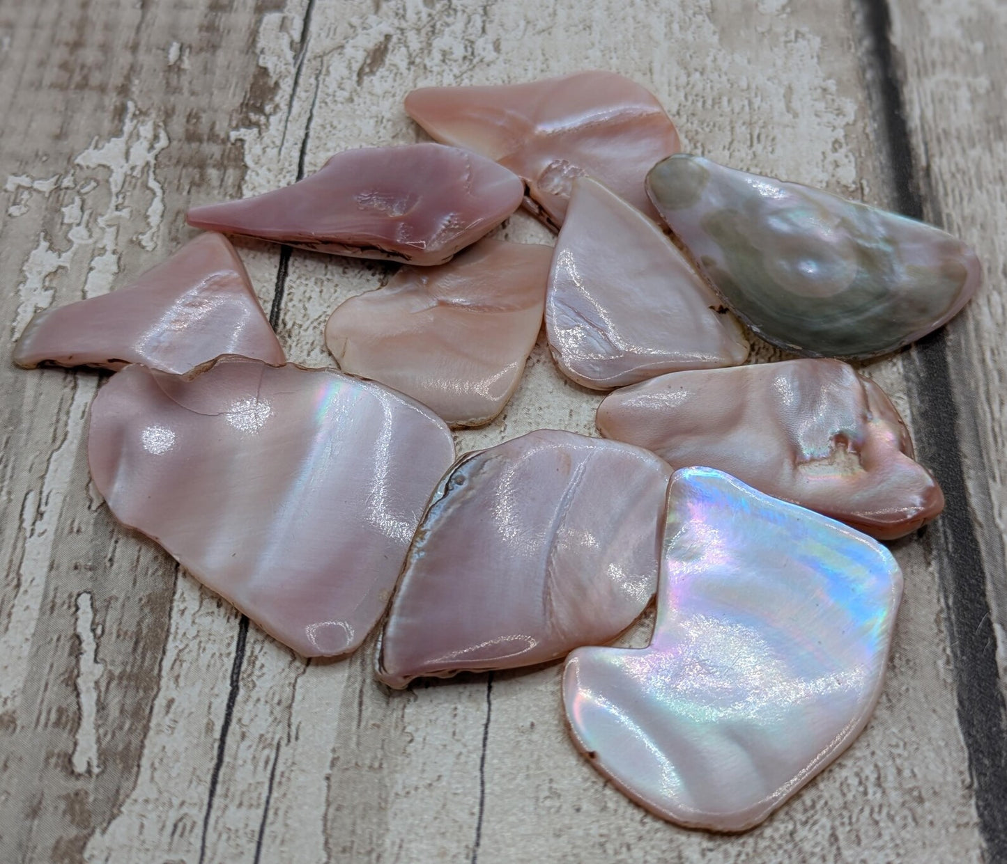 1 large naturally tumbled New Zealand pink freshwater mussel piece.