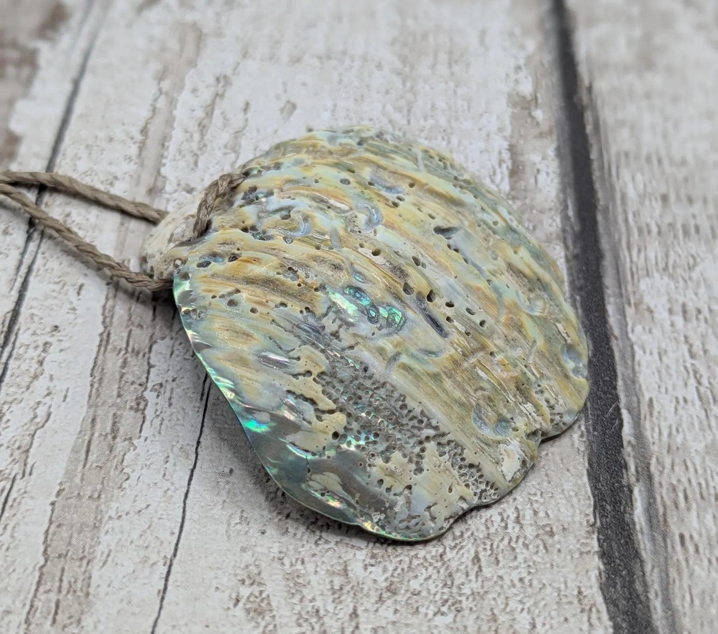 Large Freeform NZ Pāua Shell Pendant – Iridescent Abalone Statement Necklace, Natural statement Beach Jewellery.