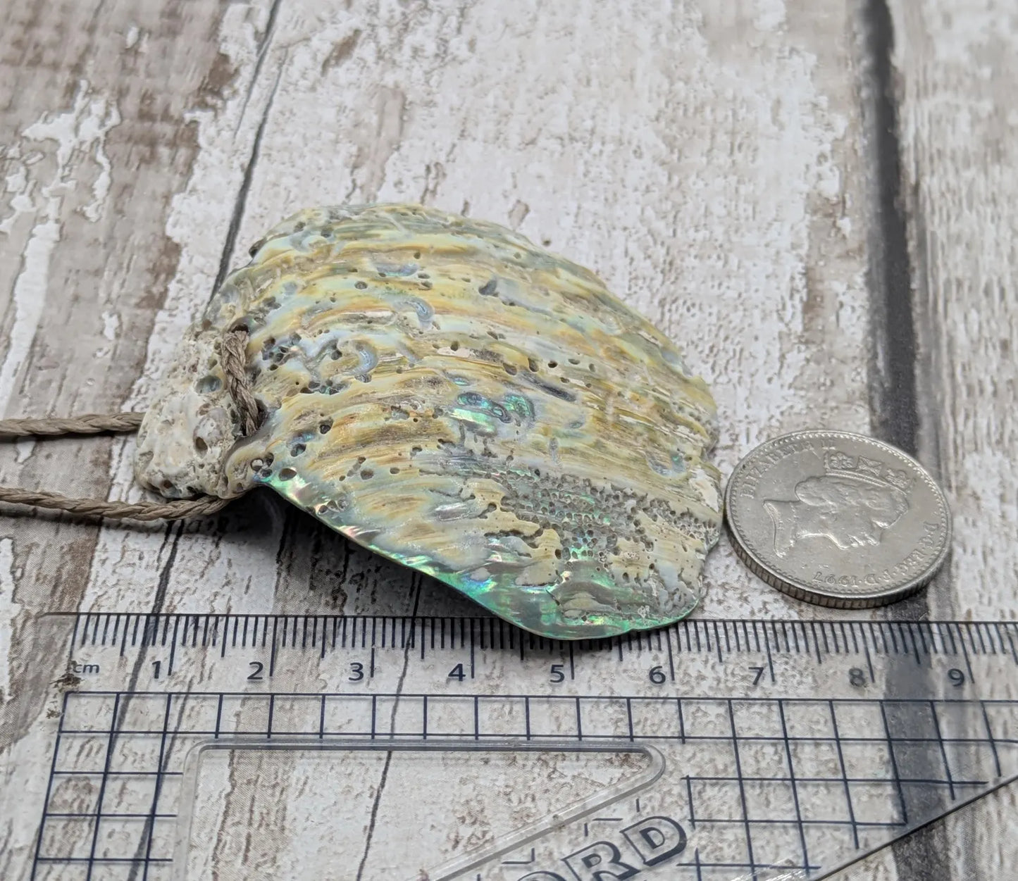 Large Freeform NZ Pāua Shell Pendant – Iridescent Abalone Statement Necklace, Natural statement Beach Jewellery.