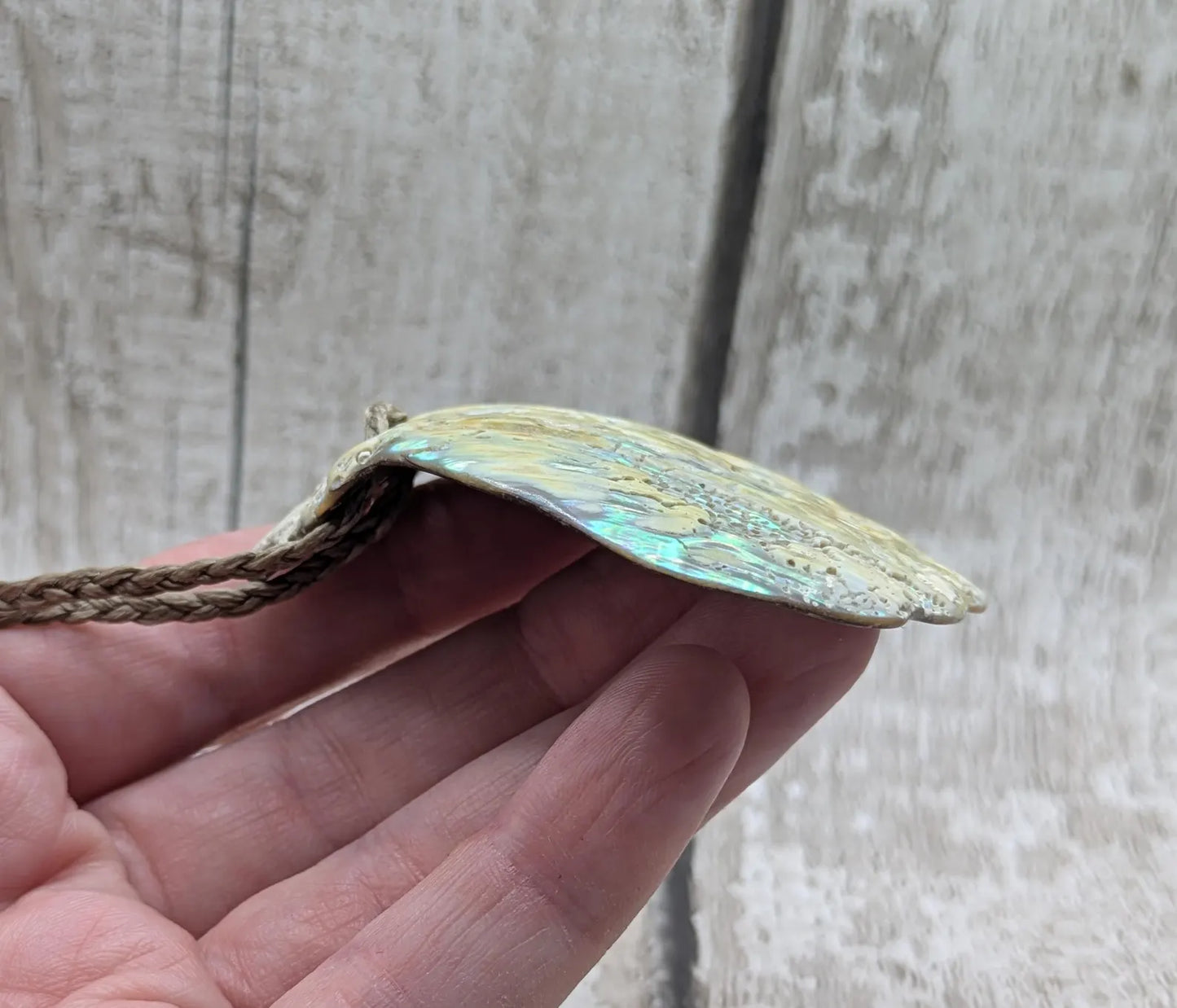 Large Freeform NZ Pāua Shell Pendant – Iridescent Abalone Statement Necklace, Natural statement Beach Jewellery.