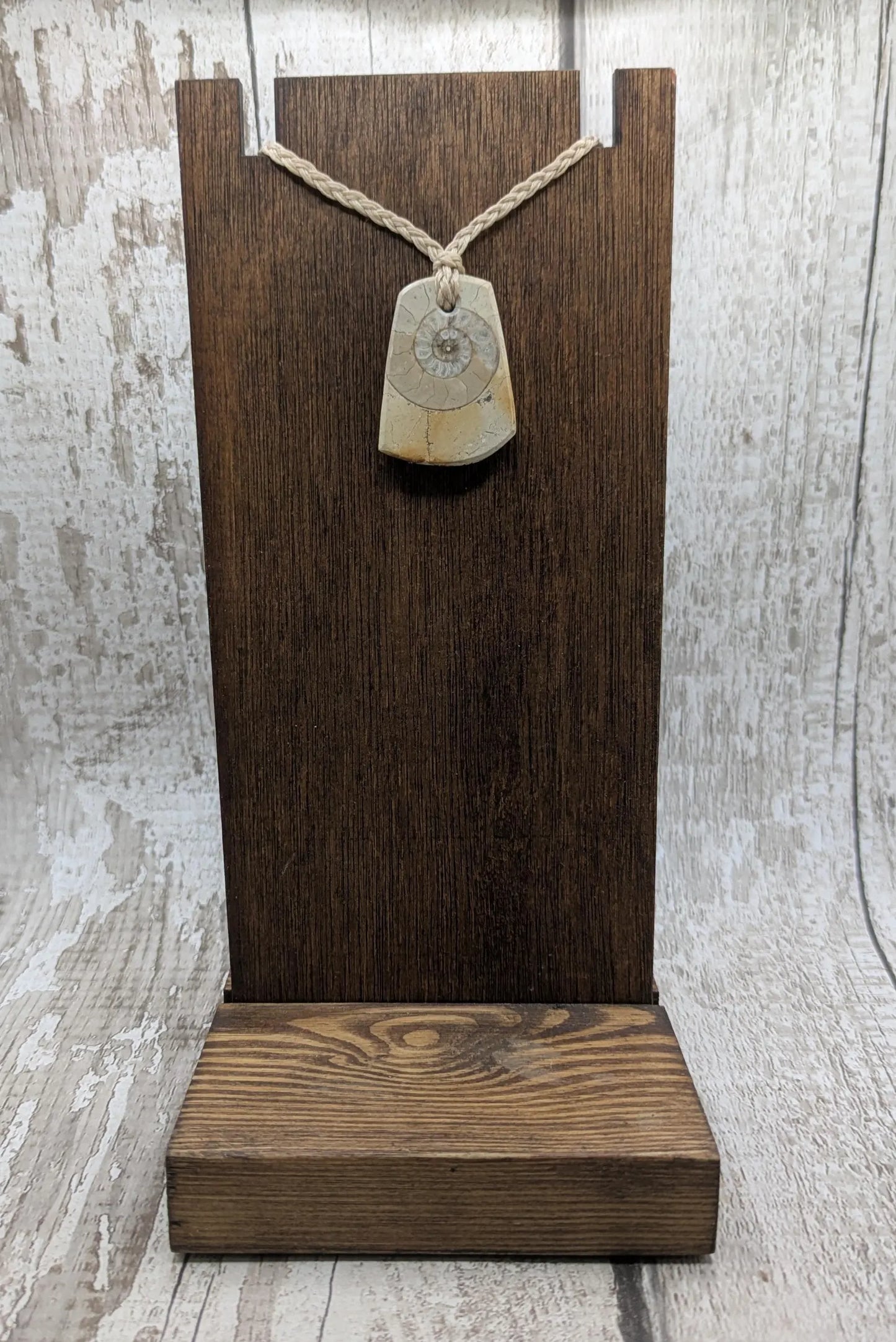 Jurassic Charmouth Ammonite Pendant – Calcite-Crystal in Limestone Fossil Necklace - Natural history - Fibonacci sequence amulet.