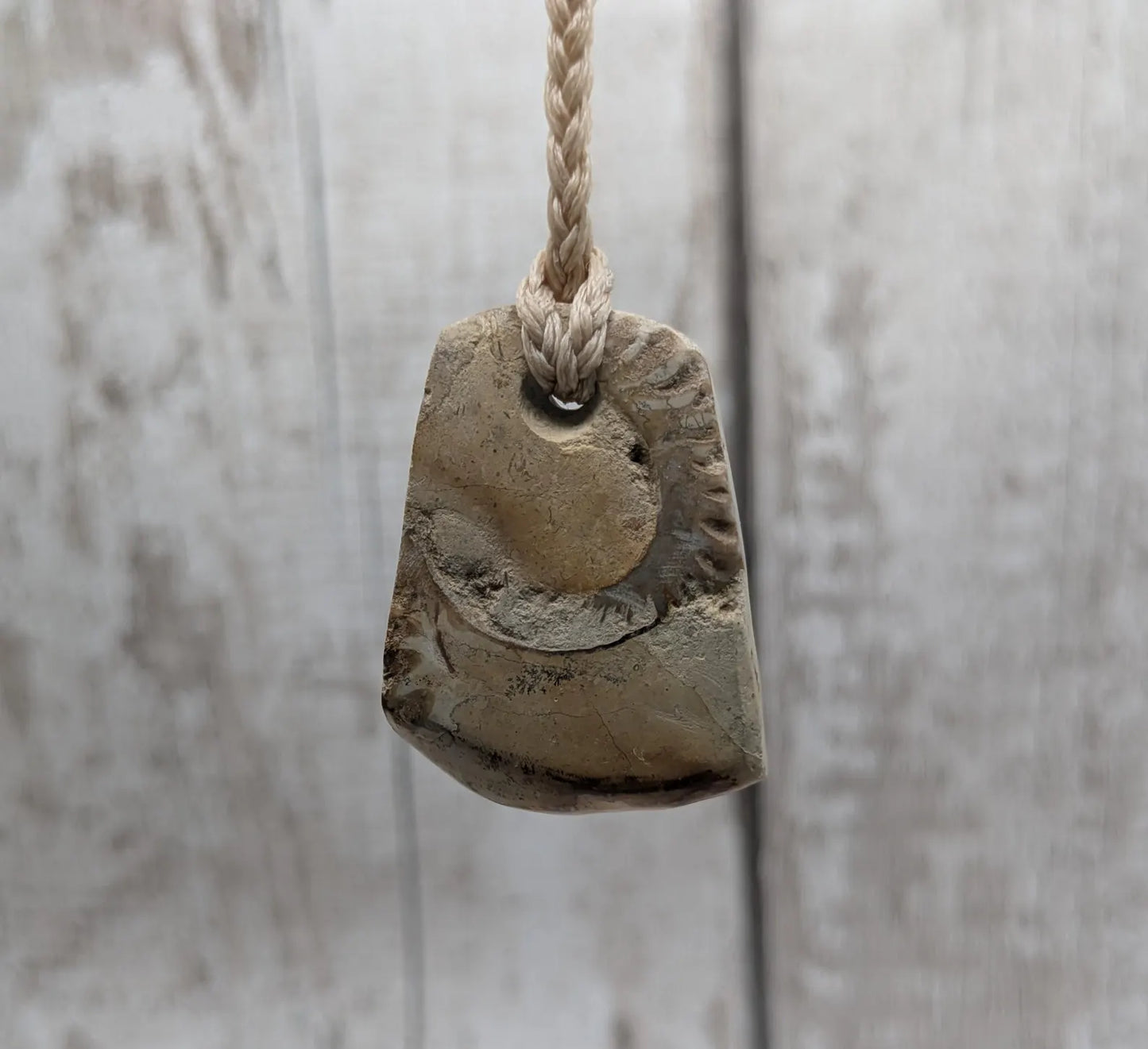 Jurassic Charmouth Ammonite Pendant – Calcite-Crystal in Limestone Fossil Necklace - Natural history - Fibonacci sequence amulet.