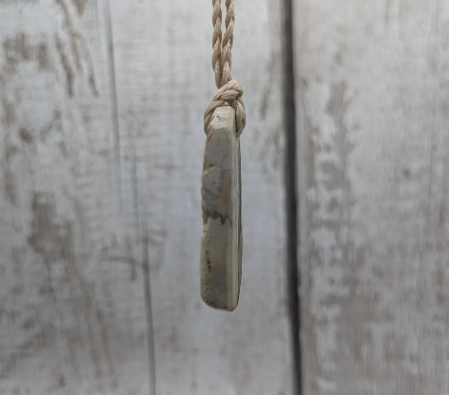 Jurassic Charmouth Ammonite Pendant – Calcite-Crystal in Limestone Fossil Necklace - Natural history - Fibonacci sequence amulet.