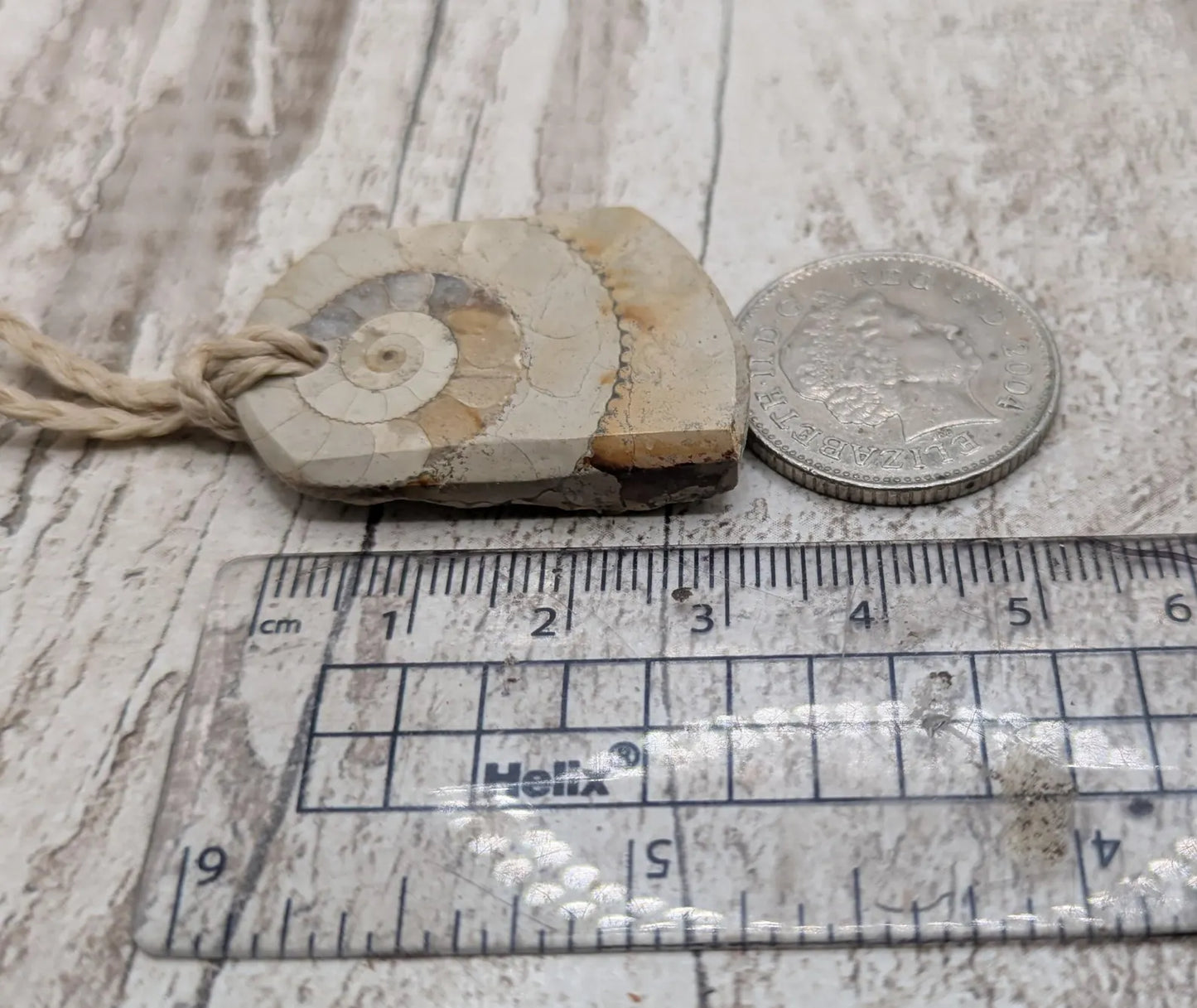 Jurassic Charmouth Ammonite Pendant – Calcite-Crystal in Limestone Fossil Necklace - Natural history - Fibonacci sequence amulet.
