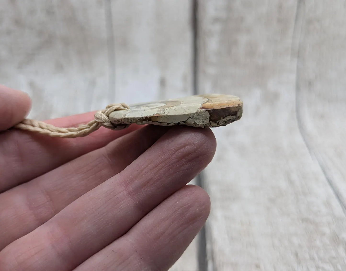Jurassic Charmouth Ammonite Pendant – Calcite-Crystal in Limestone Fossil Necklace - Natural history - Fibonacci sequence amulet.