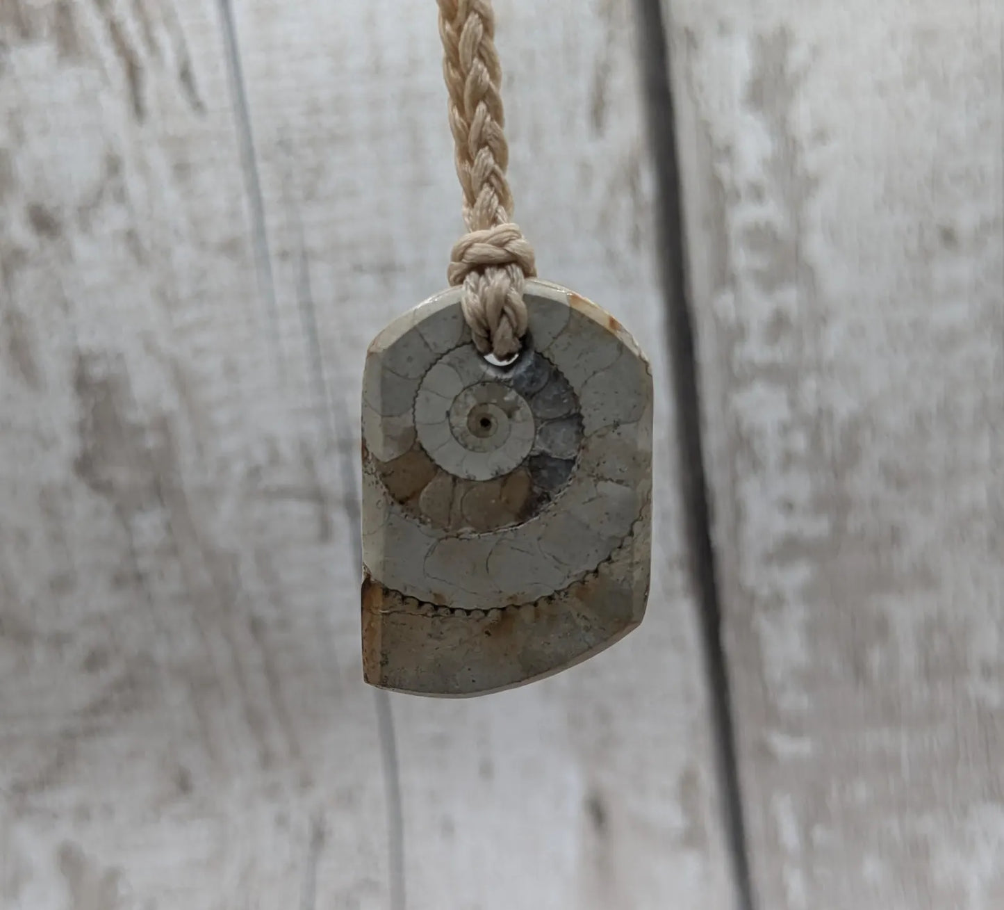 Jurassic Charmouth Ammonite Pendant – Calcite-Crystal in Limestone Fossil Necklace - Natural history - Fibonacci sequence amulet.