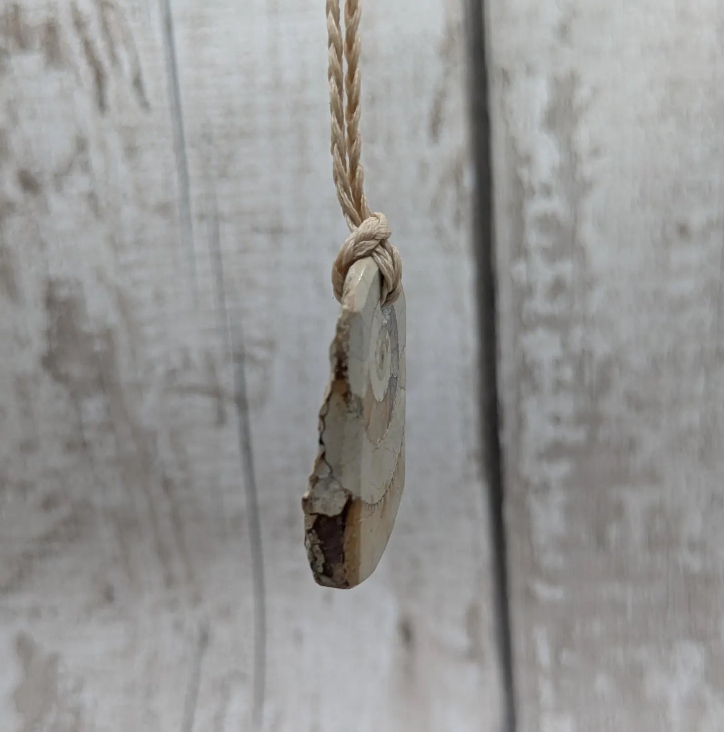Jurassic Charmouth Ammonite Pendant – Calcite-Crystal in Limestone Fossil Necklace - Natural history - Fibonacci sequence amulet.