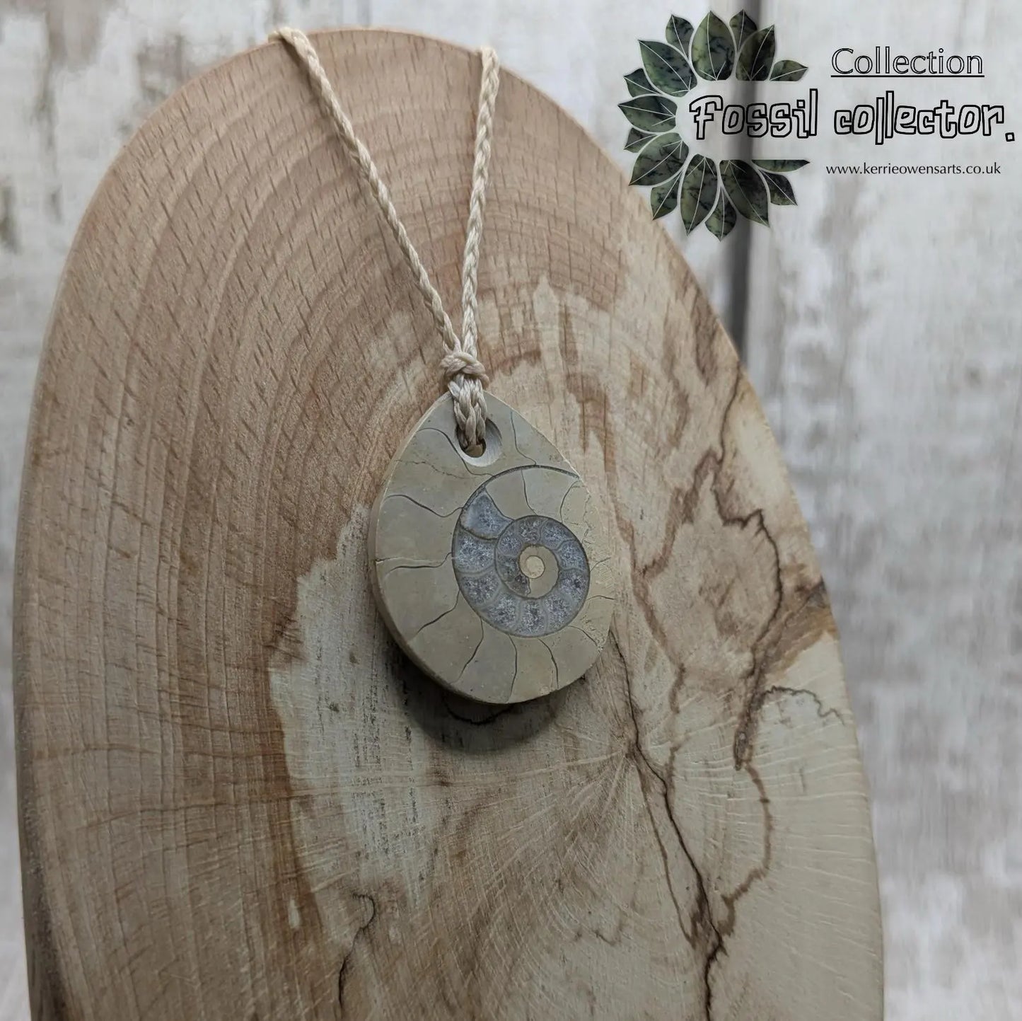 Jurassic Charmouth Ammonite Pendant – Calcite-Crystal in Limestone Fossil Necklace - Natural history - Fibonacci sequence amulet.