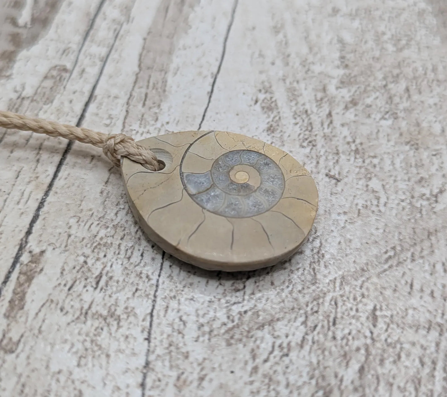 Jurassic Charmouth Ammonite Pendant – Calcite-Crystal in Limestone Fossil Necklace - Natural history - Fibonacci sequence amulet.