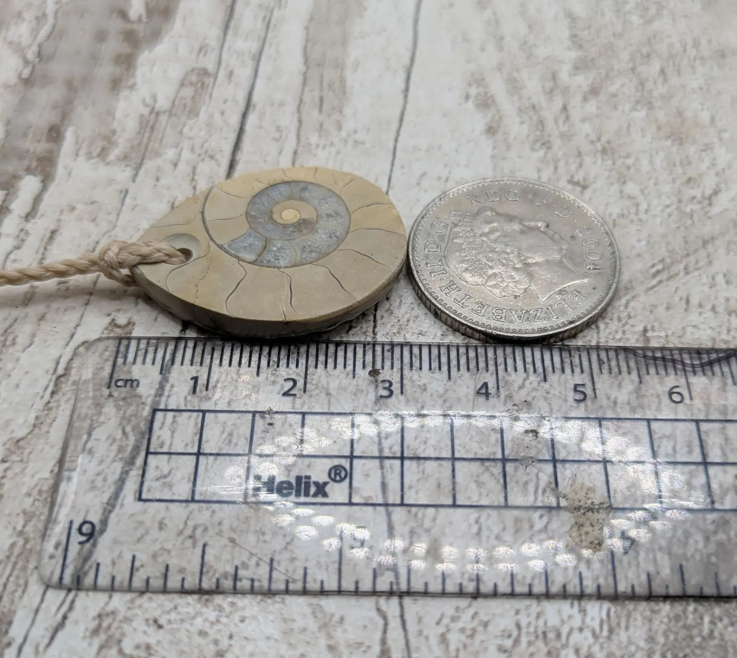 Jurassic Charmouth Ammonite Pendant – Calcite-Crystal in Limestone Fossil Necklace - Natural history - Fibonacci sequence amulet.