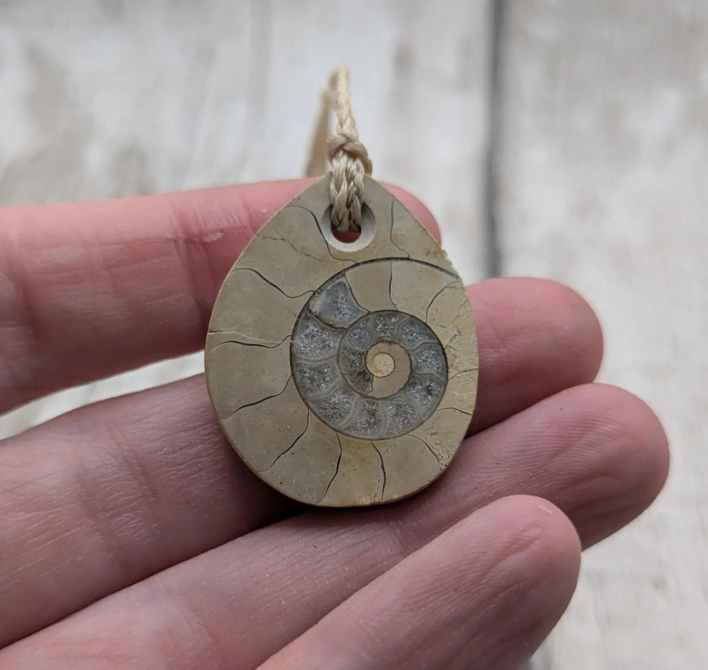 Jurassic Charmouth Ammonite Pendant – Calcite-Crystal in Limestone Fossil Necklace - Natural history - Fibonacci sequence amulet.