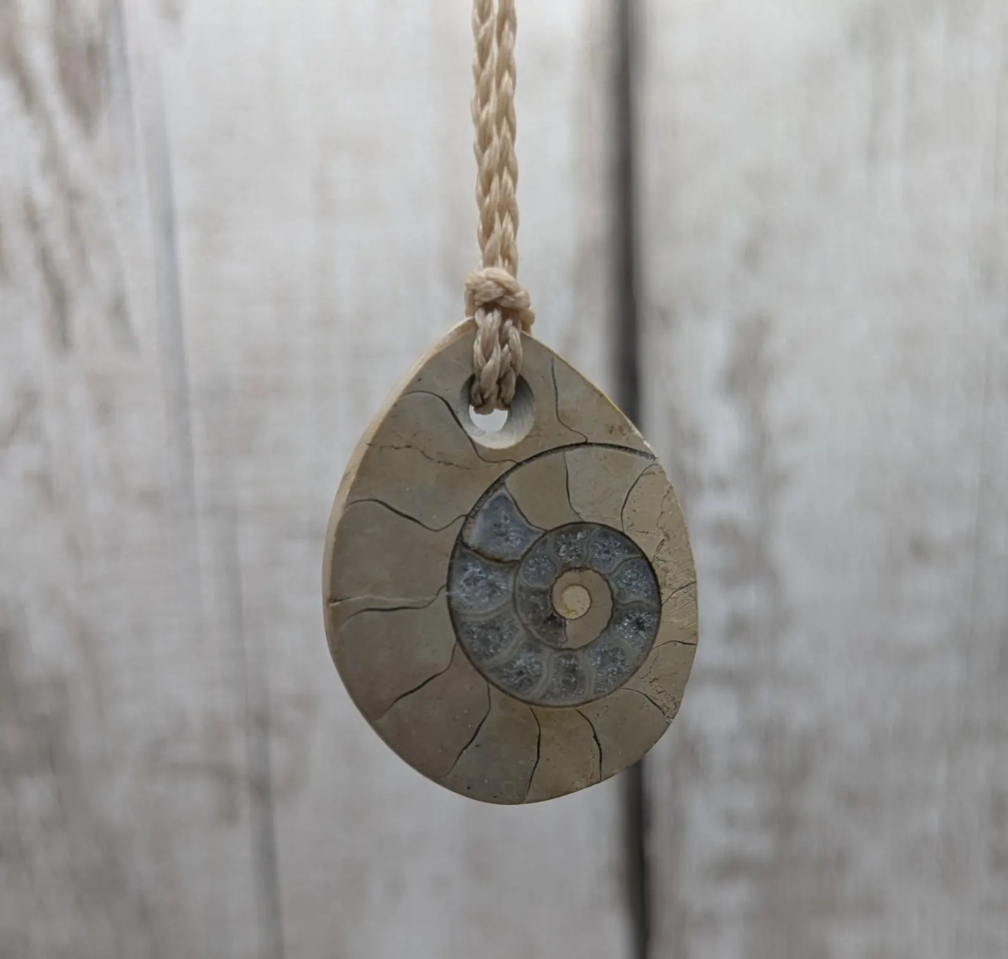 Jurassic Charmouth Ammonite Pendant – Calcite-Crystal in Limestone Fossil Necklace - Natural history - Fibonacci sequence amulet.