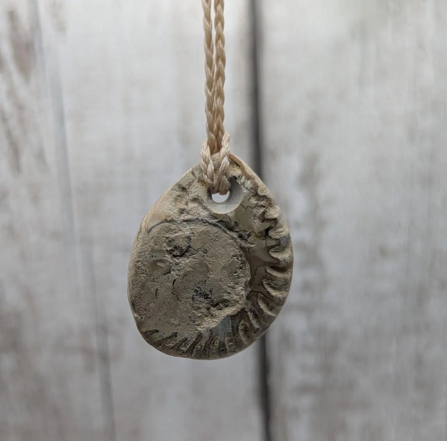 Jurassic Charmouth Ammonite Pendant – Calcite-Crystal in Limestone Fossil Necklace - Natural history - Fibonacci sequence amulet.