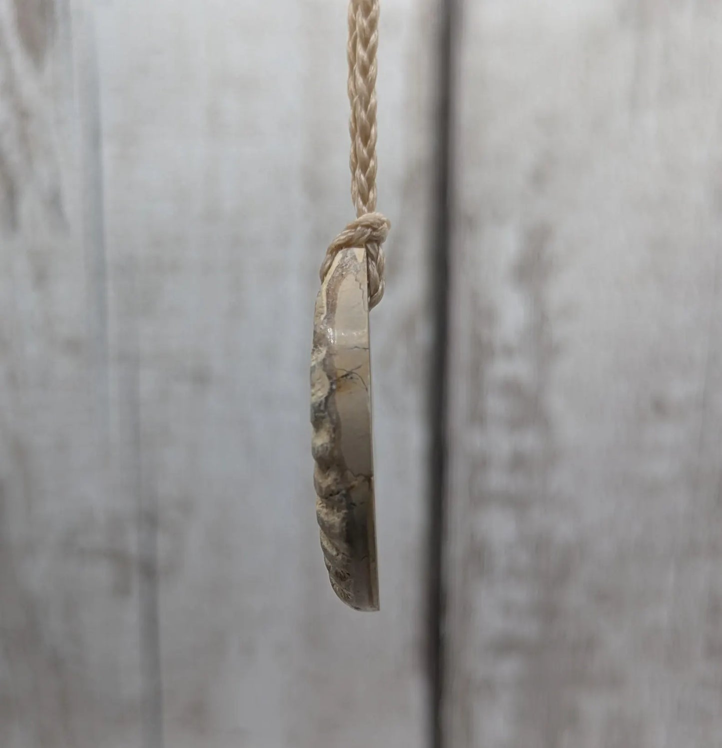Jurassic Charmouth Ammonite Pendant – Calcite-Crystal in Limestone Fossil Necklace - Natural history - Fibonacci sequence amulet.