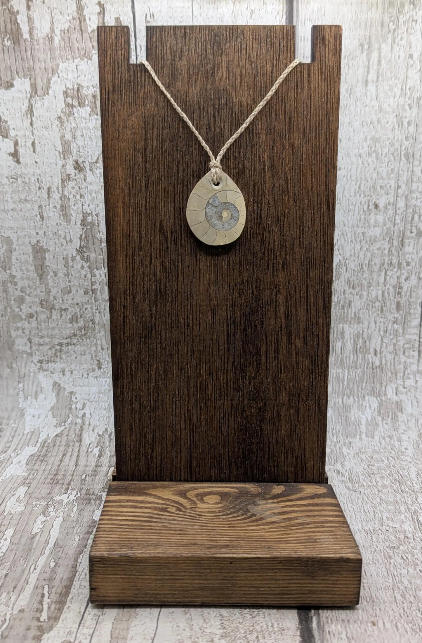 Jurassic Charmouth Ammonite Pendant – Calcite-Crystal in Limestone Fossil Necklace - Natural history - Fibonacci sequence amulet.