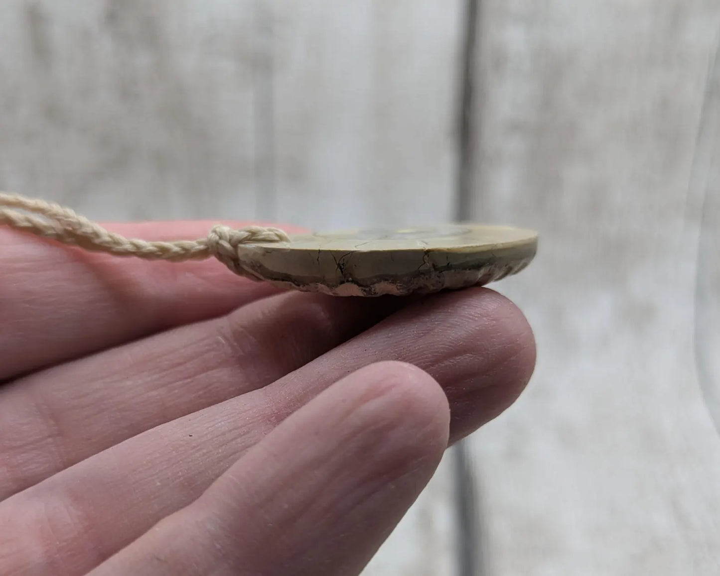 Jurassic Charmouth Ammonite Pendant – Calcite-Crystal in Limestone Fossil Necklace - Natural history - Fibonacci sequence amulet.
