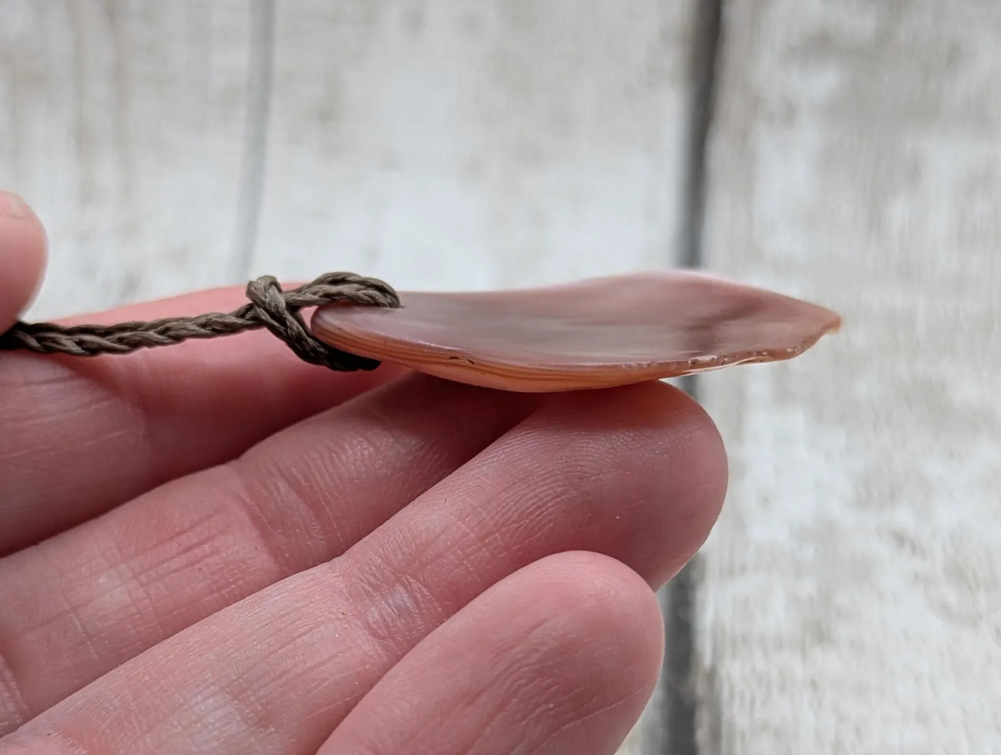 Medium Pearlescent NZ Freshwater Pink Mussel Shell Pendant – Natural Tumbled, Drilled for Jewelry, Unique Organic Statement Piece