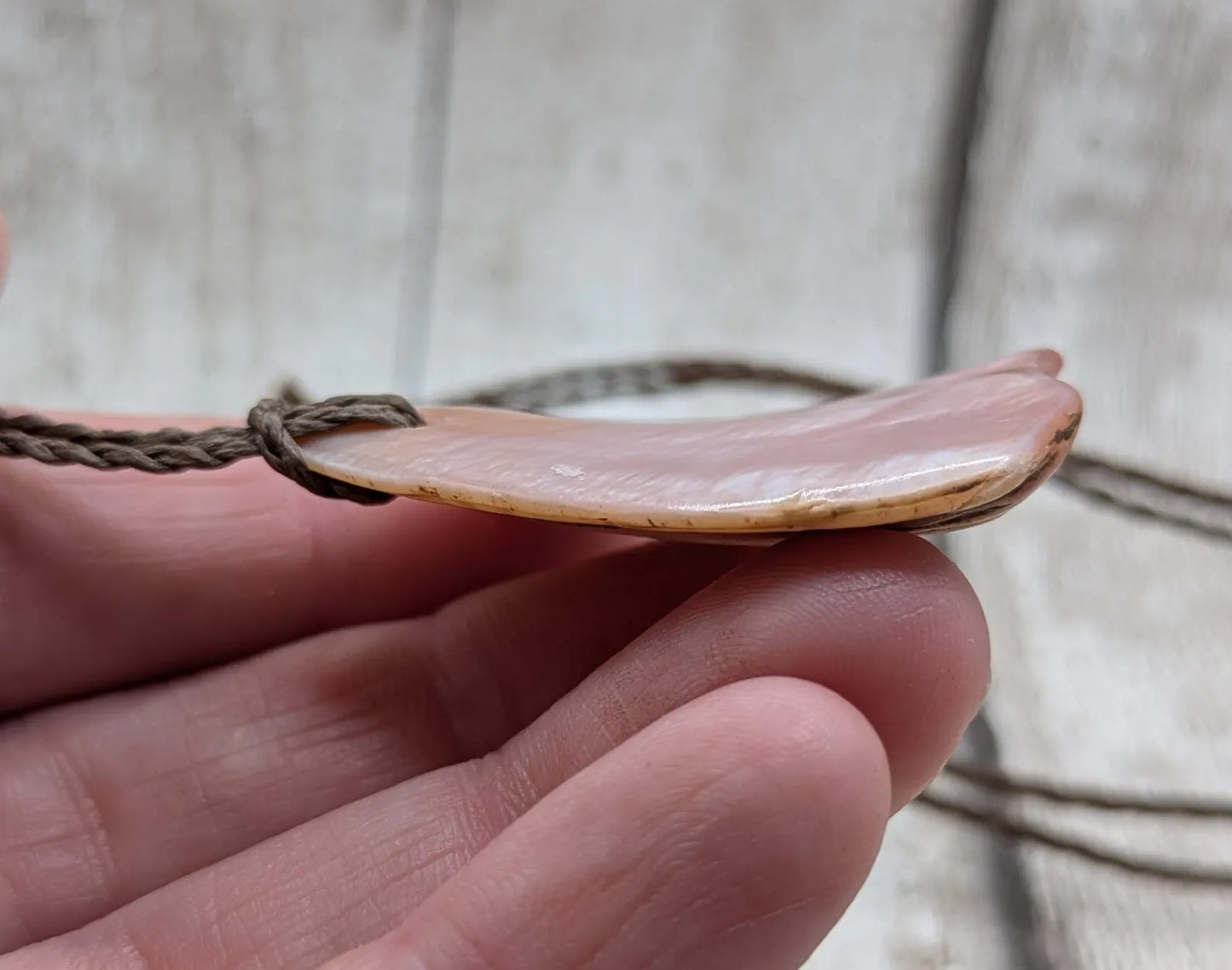 New Zealand Fresh water pink mussel shell pendant.