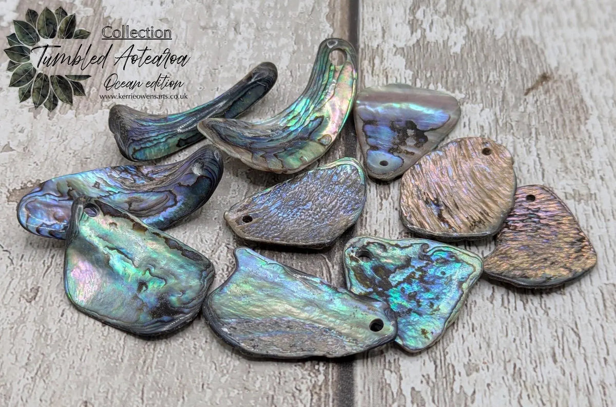 New Zealand rainbow pāua shell drilled beads.