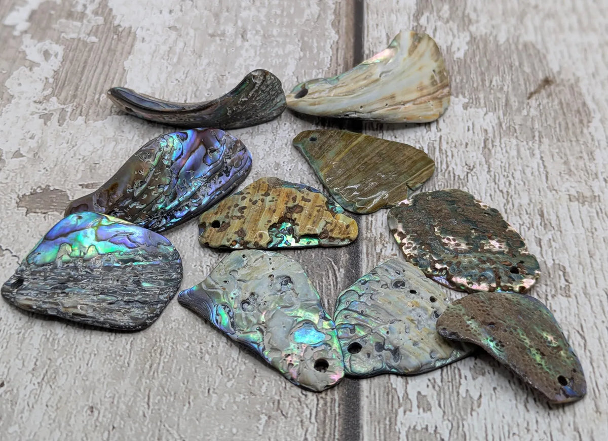 New Zealand rainbow pāua shell drilled beads.