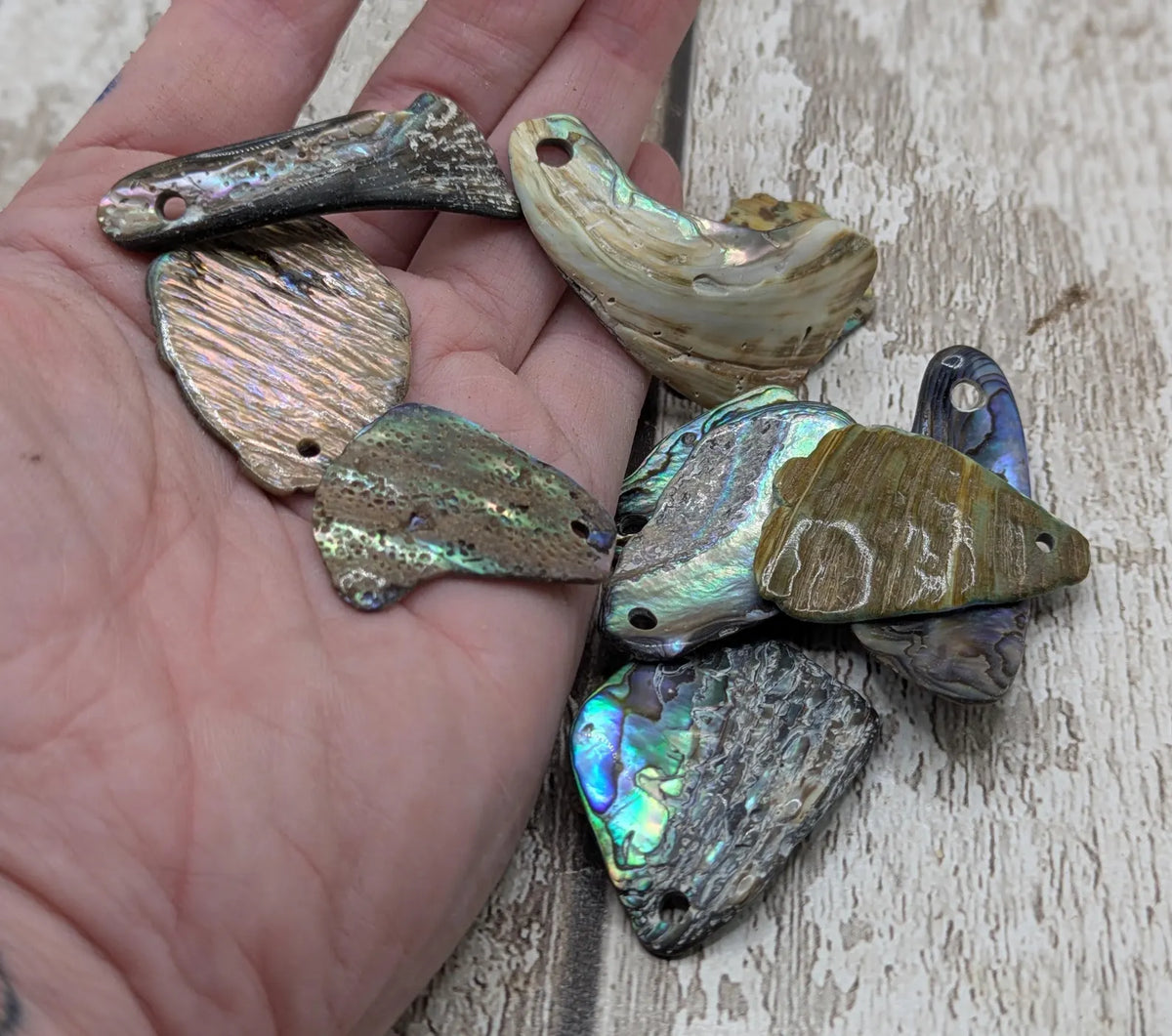 New Zealand rainbow pāua shell drilled beads.