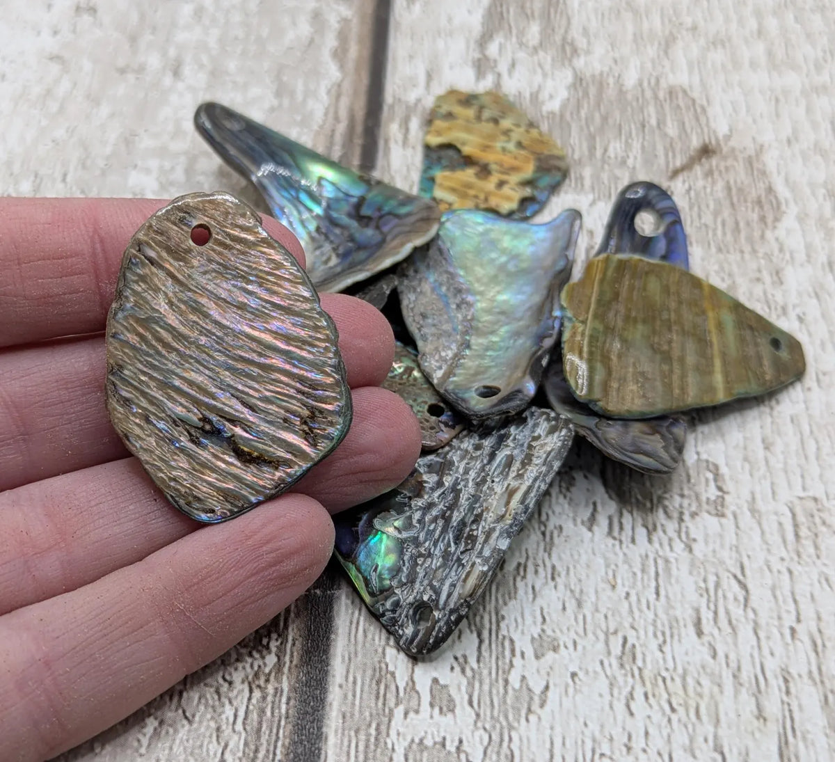 New Zealand rainbow pāua shell drilled beads.