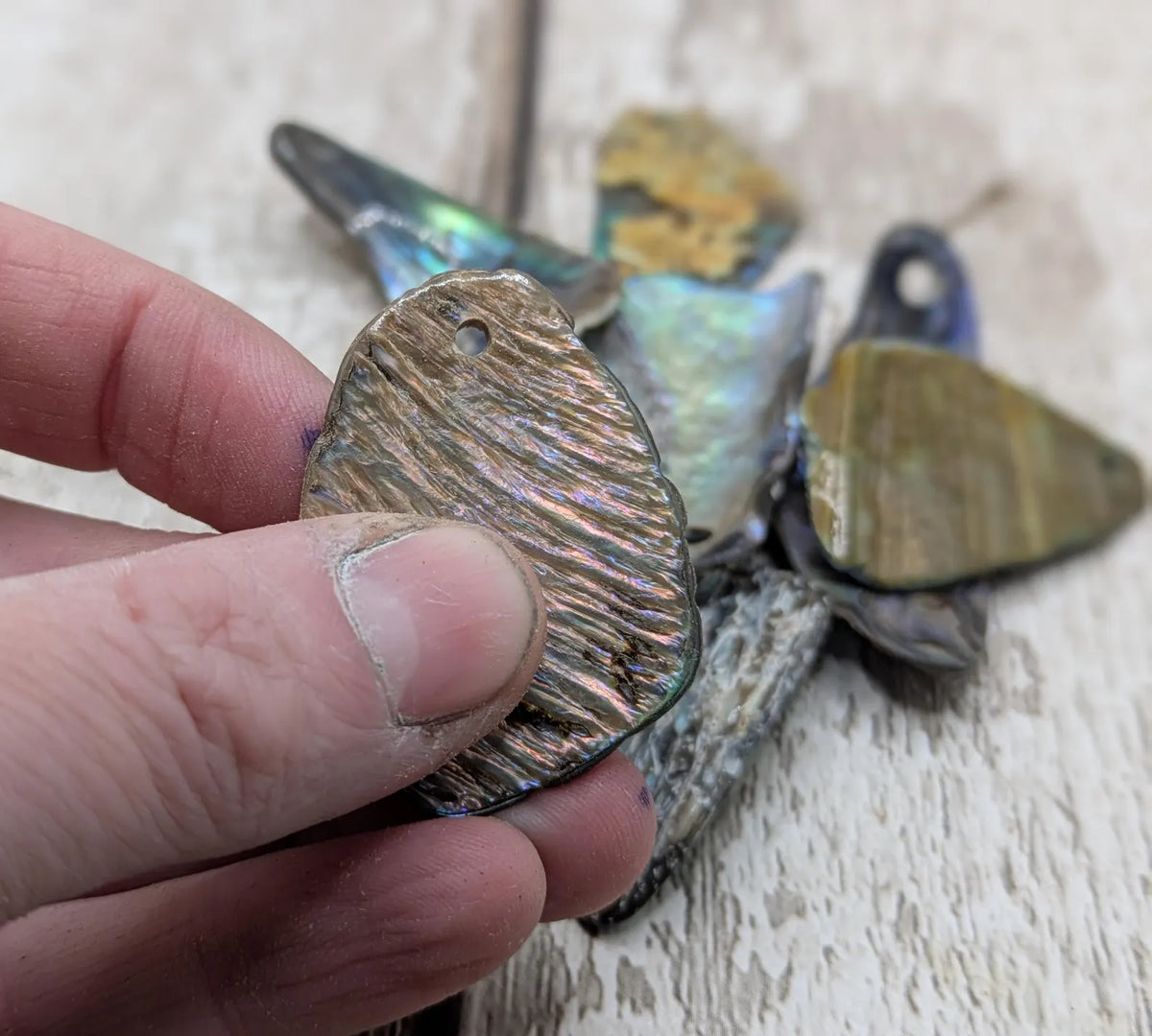 New Zealand rainbow pāua shell drilled beads.