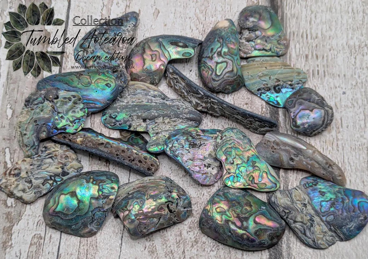 One small wild naturally tumbled New Zealand rainbow Pāua piece