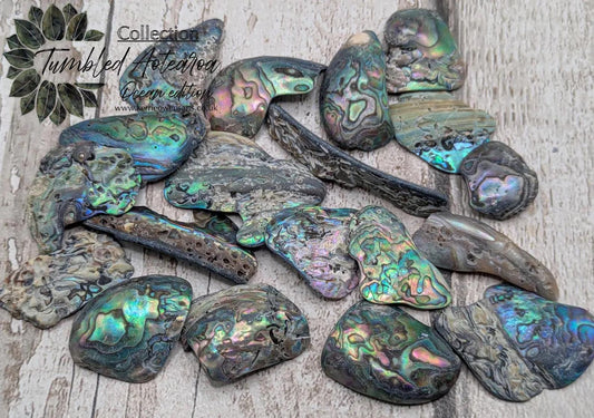 One small wild naturally tumbled New Zealand rainbow Pāua piece