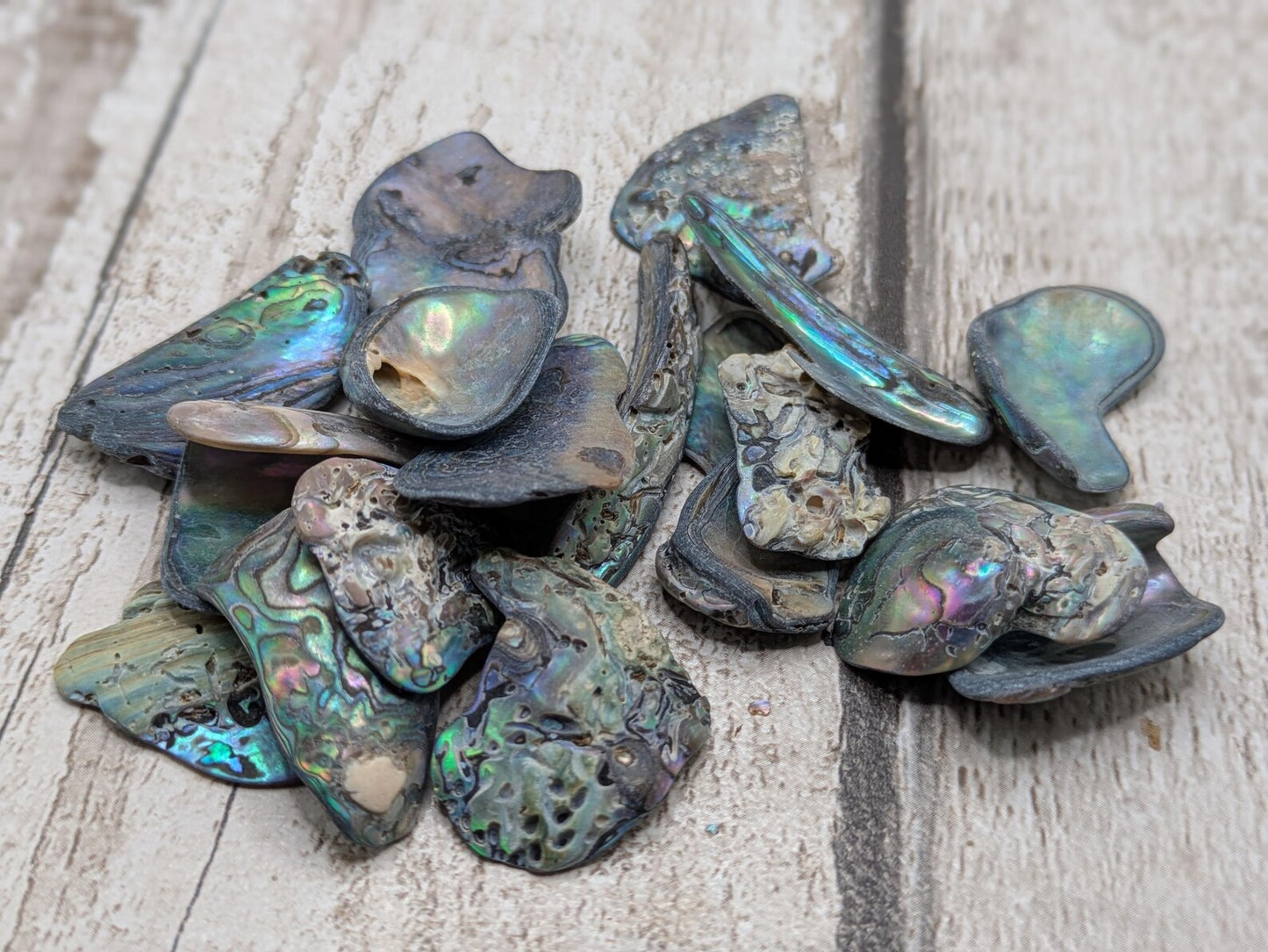 One small wild naturally tumbled New Zealand rainbow Pāua piece