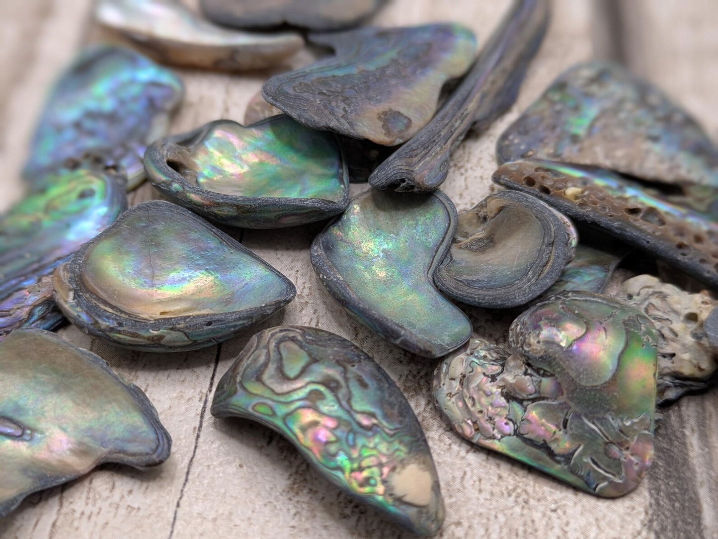 One small wild naturally tumbled New Zealand rainbow Pāua piece