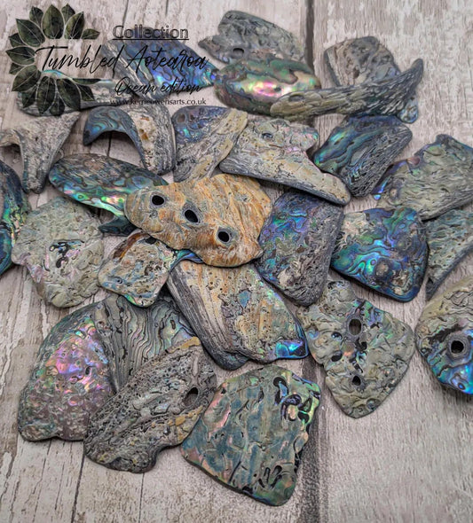 One large piece of New Zealand wild rainbow Pāua abalone shell.