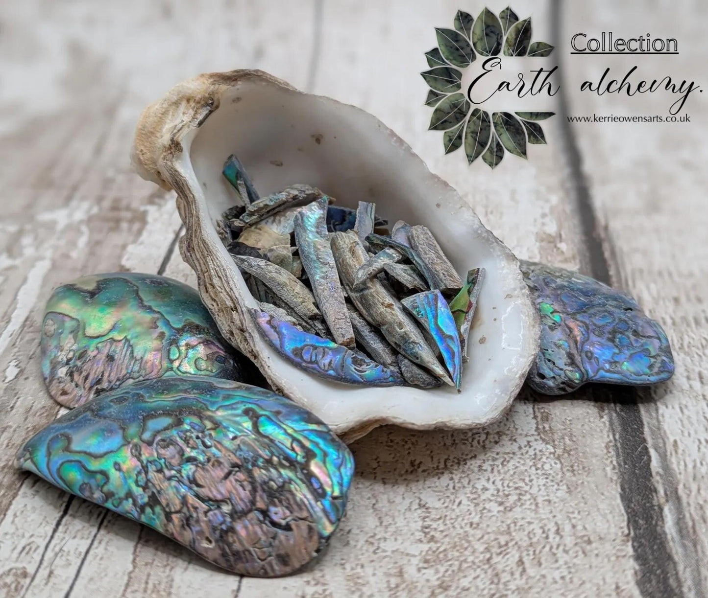 One bottle of New Zealand rainbow Pāua abalone offcuts.