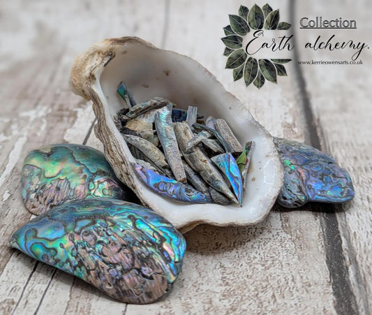 One bottle of New Zealand rainbow Pāua abalone offcuts.
