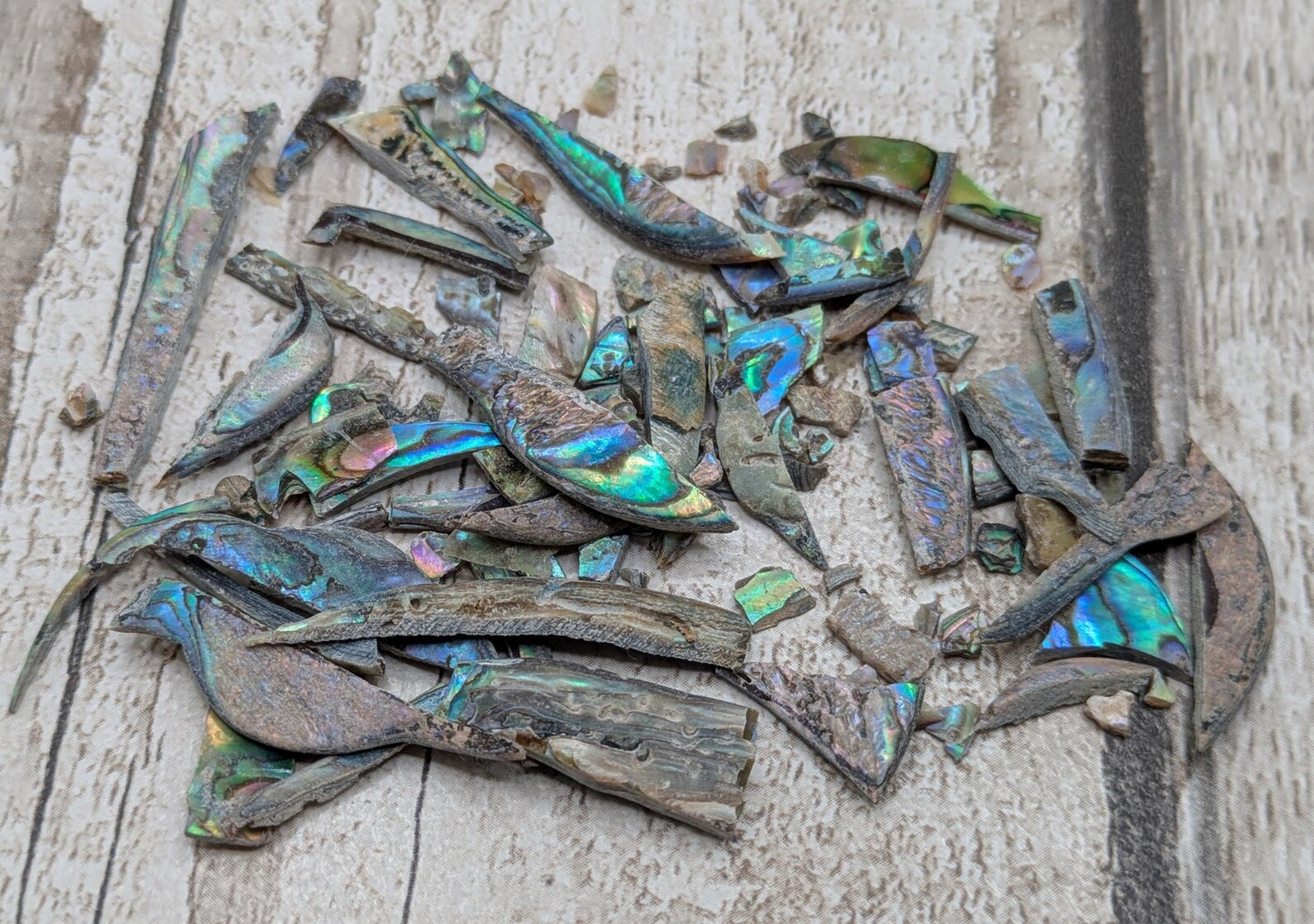 One bottle of New Zealand rainbow Pāua abalone offcuts.