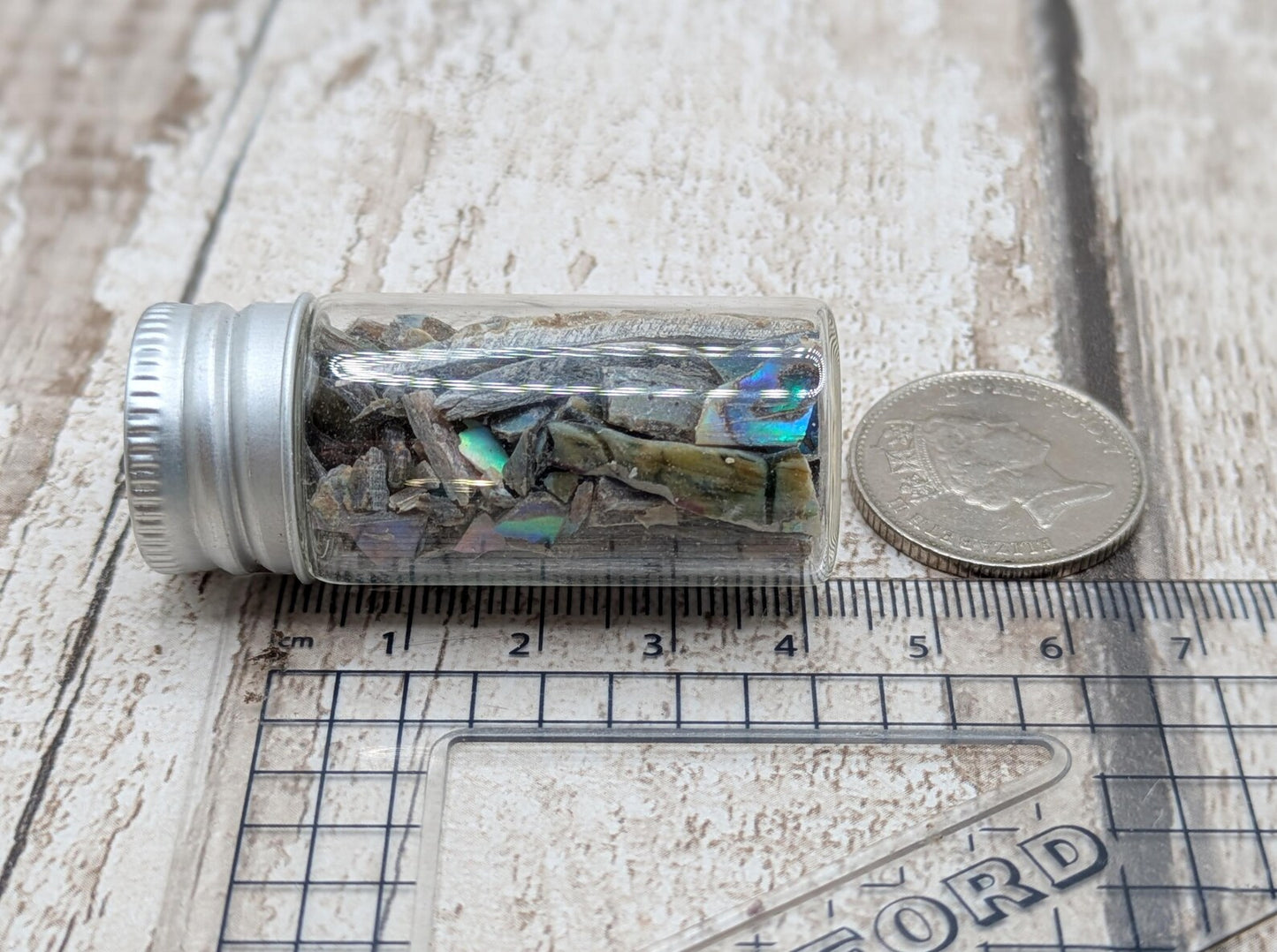 One bottle of New Zealand rainbow Pāua abalone offcuts.