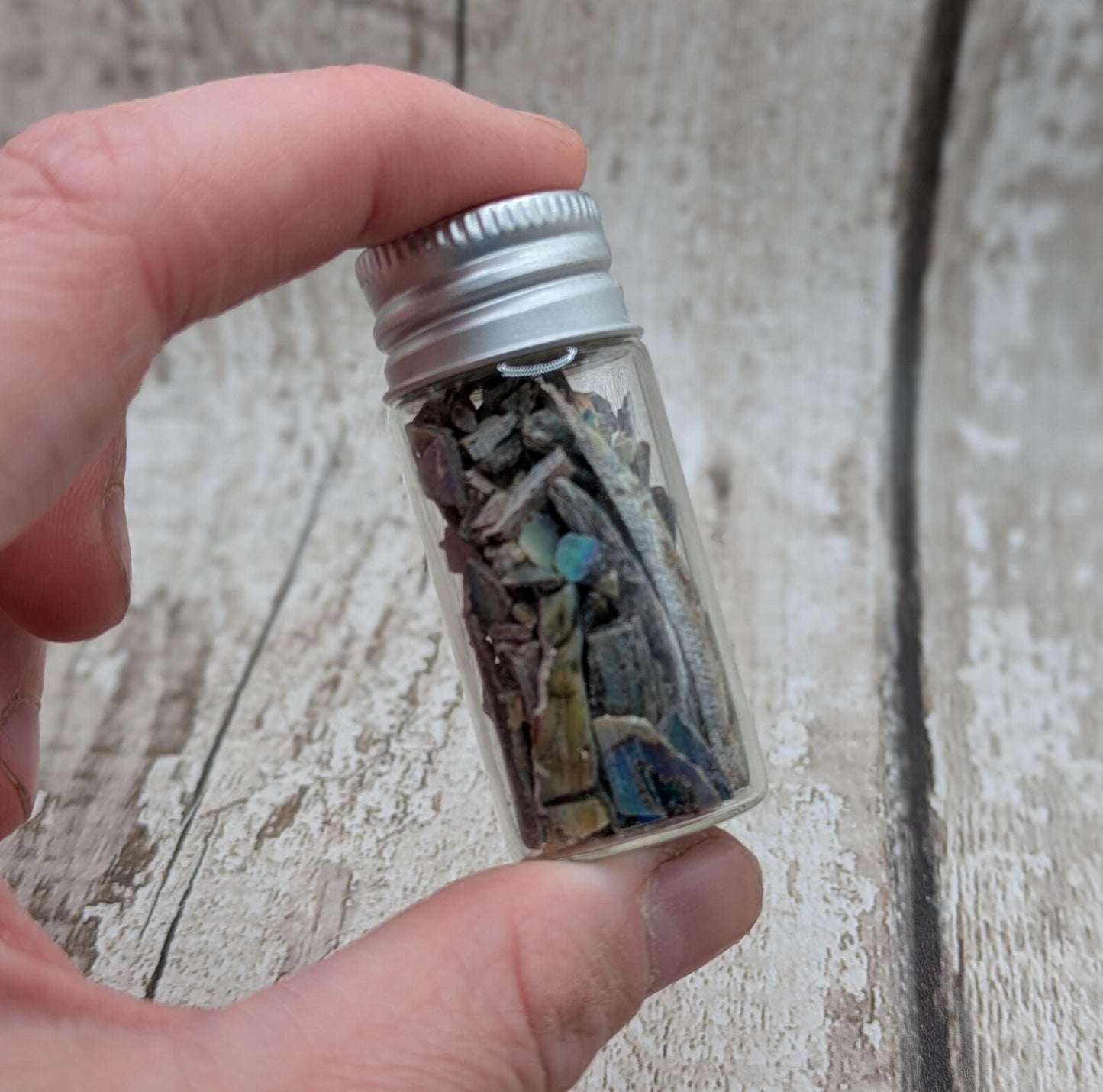 One bottle of New Zealand rainbow Pāua abalone offcuts.