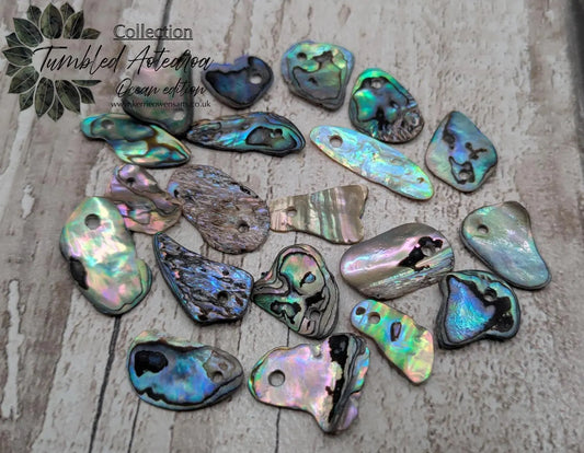 20 Rainbow NZ Pāua Shell Beads – Top-Drilled Natural Abalone for Jewelry Making & Art Projects.