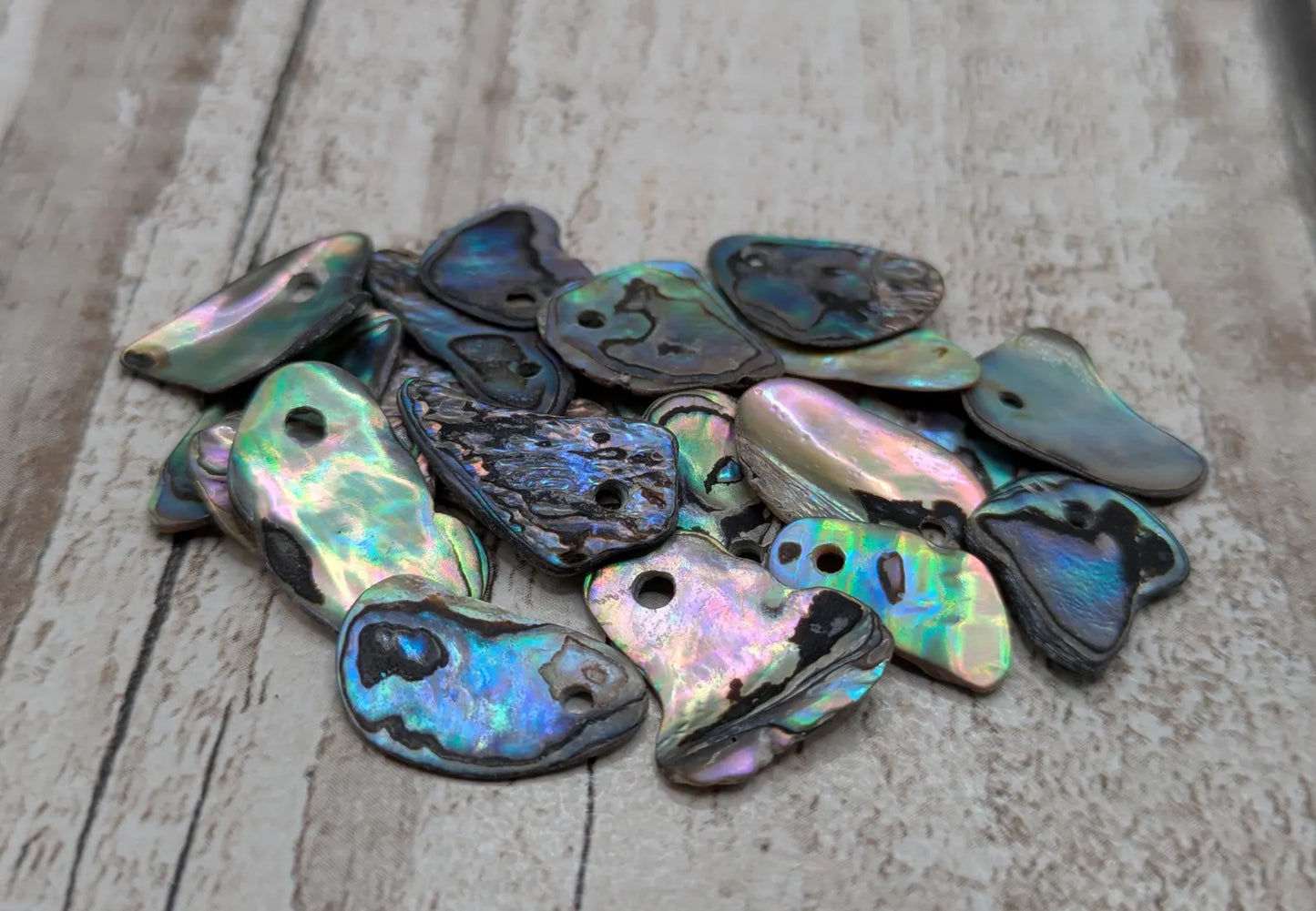 20 Rainbow NZ Pāua Shell Beads – Top-Drilled Natural Abalone for Jewelry Making & Art Projects.