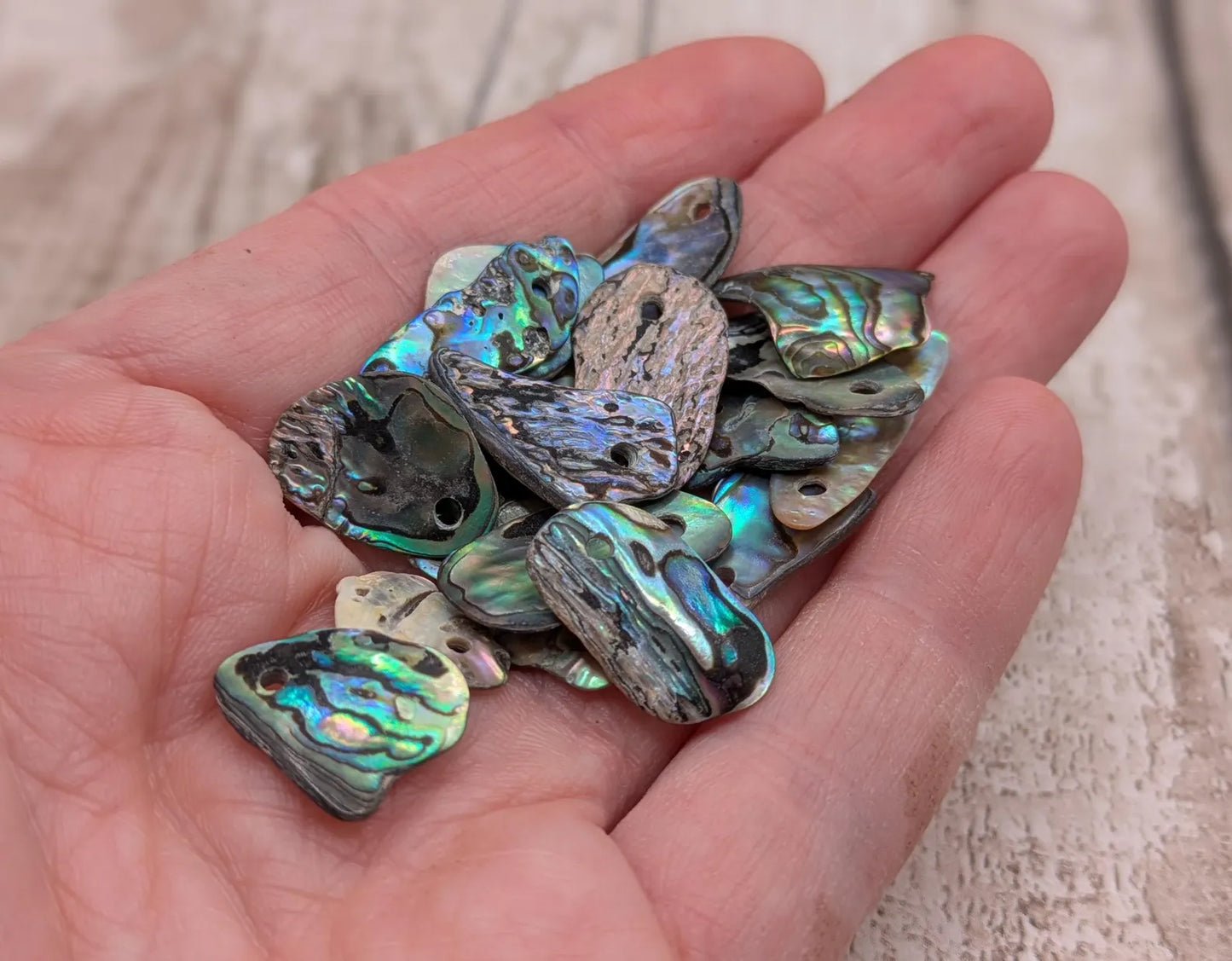 20 Rainbow NZ Pāua Shell Beads – Top-Drilled Natural Abalone for Jewelry Making & Art Projects.