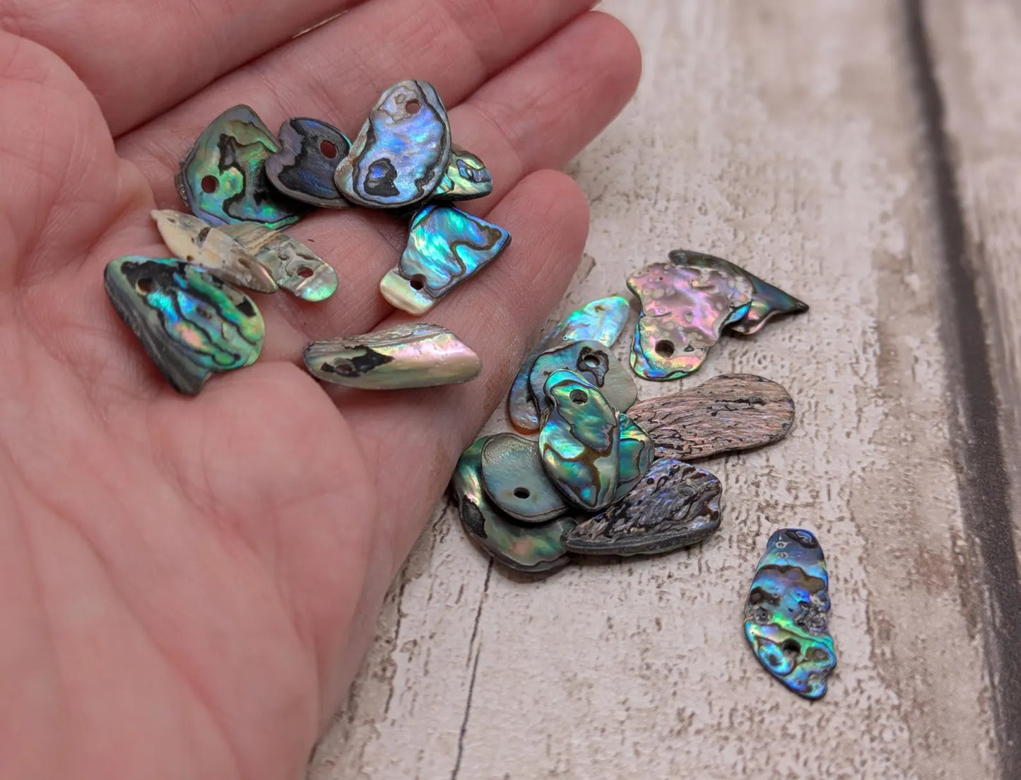20 Rainbow NZ Pāua Shell Beads – Top-Drilled Natural Abalone for Jewelry Making & Art Projects.
