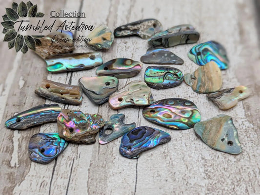 20 Rainbow NZ Pāua Shell Beads – Top-Drilled Natural Abalone for Jewelry Making & Art Projects.
