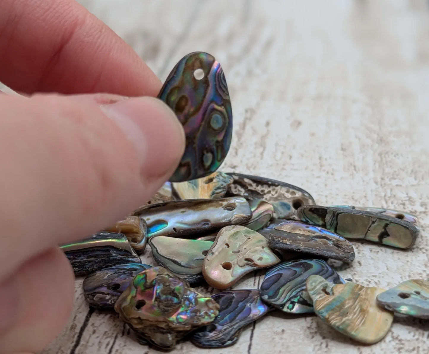 20 Rainbow NZ Pāua Shell Beads – Top-Drilled Natural Abalone for Jewelry Making & Art Projects.