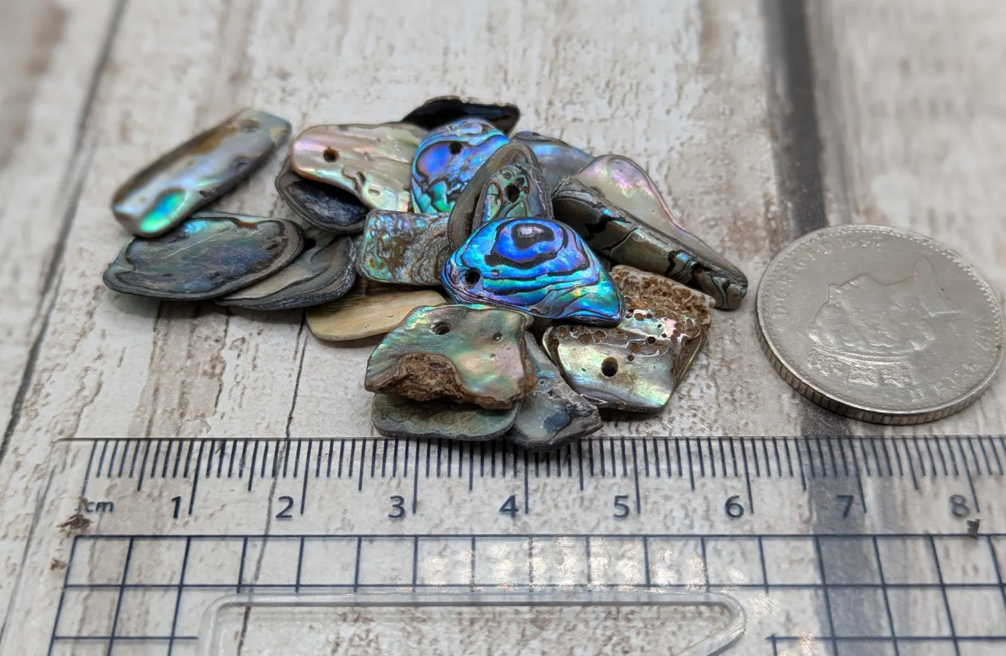20 Rainbow NZ Pāua Shell Beads – Top-Drilled Natural Abalone for Jewelry Making & Art Projects.