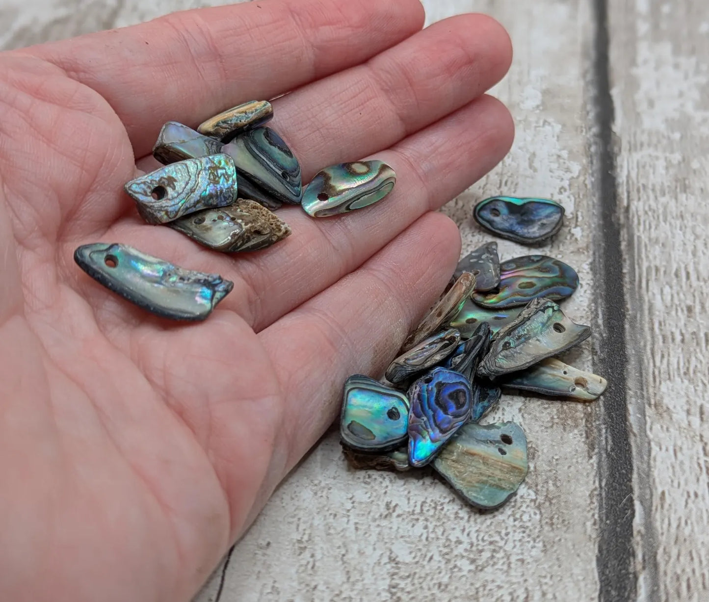 20 Rainbow NZ Pāua Shell Beads – Top-Drilled Natural Abalone for Jewelry Making & Art Projects.