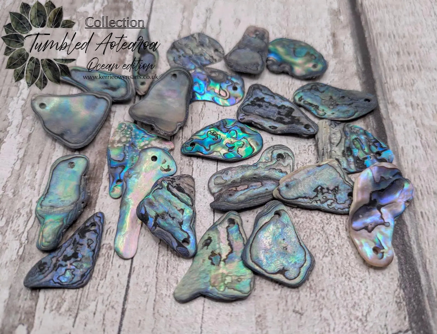 20 New Zealand wild rainbow Pāua unpolished satin abalone beads