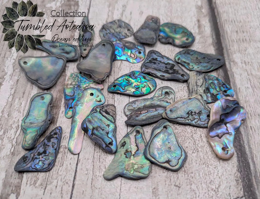 20 New Zealand wild rainbow Pāua unpolished satin abalone beads