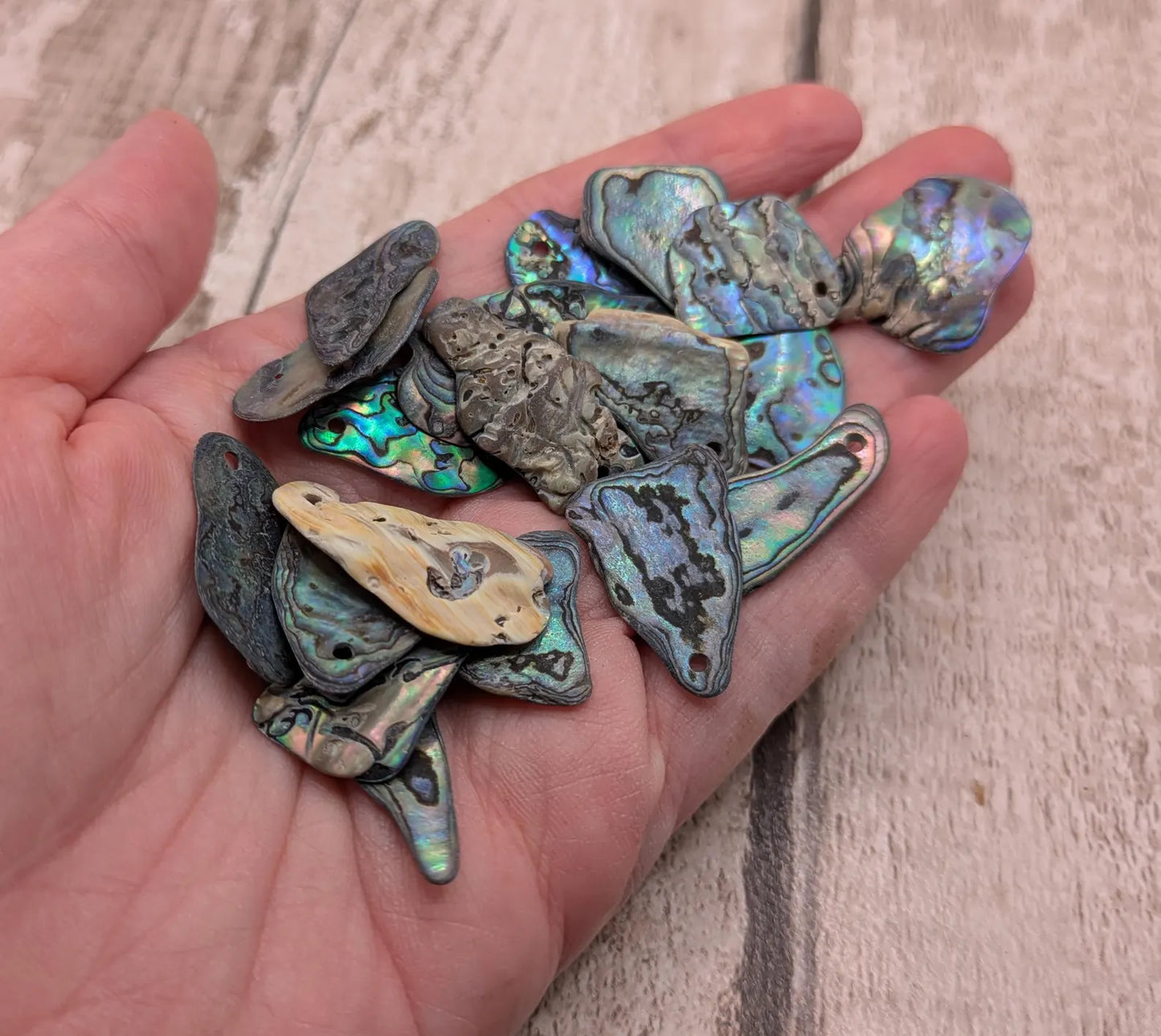 20 New Zealand wild rainbow Pāua unpolished satin abalone beads
