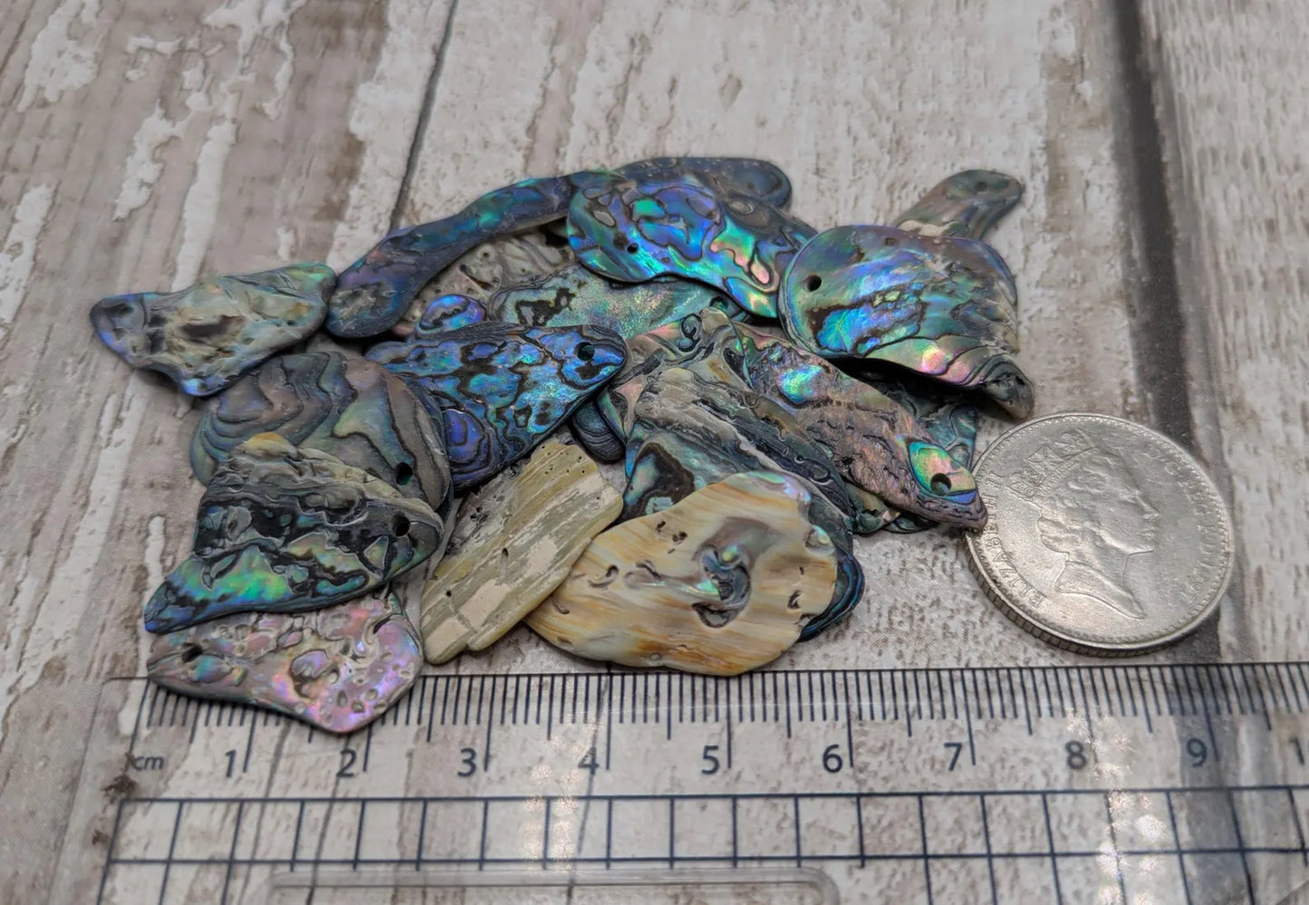 20 New Zealand wild rainbow Pāua unpolished satin abalone beads
