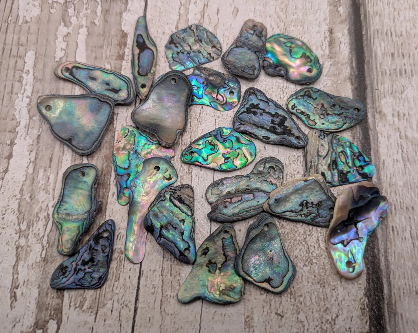 20 New Zealand wild rainbow Pāua unpolished satin abalone beads